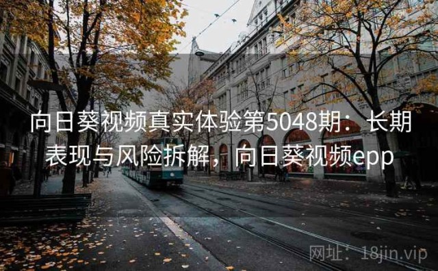 向日葵视频真实体验第5048期：长期表现与风险拆解，向日葵视频epp