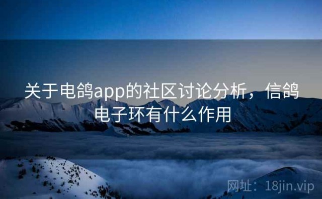 关于电鸽app的社区讨论分析，信鸽电子环有什么作用