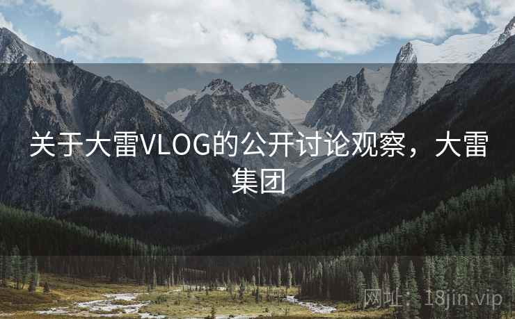 关于大雷VLOG的公开讨论观察，大雷集团