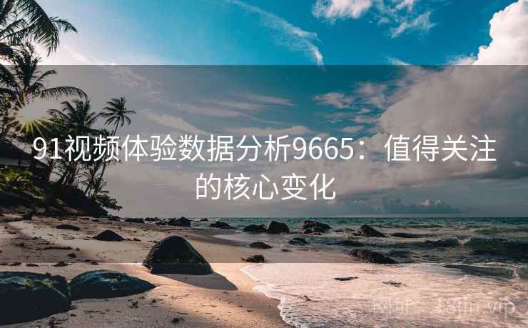 91视频体验数据分析9665：值得关注的核心变化