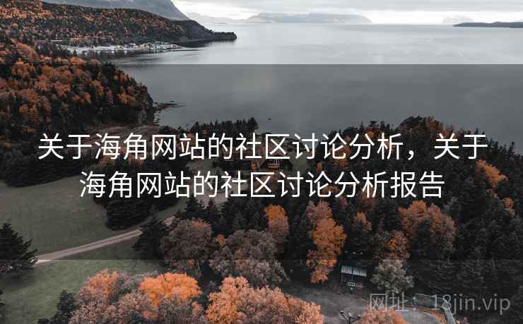 关于海角网站的社区讨论分析，关于海角网站的社区讨论分析报告