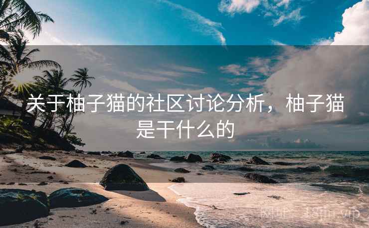 关于柚子猫的社区讨论分析，柚子猫是干什么的