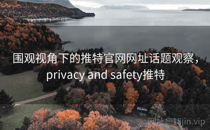 围观视角下的推特官网网址话题观察，privacy and safety推特