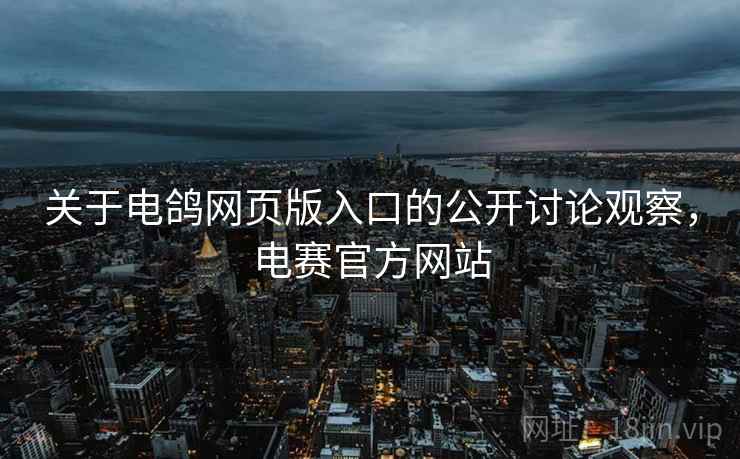 关于电鸽网页版入口的公开讨论观察，电赛官方网站