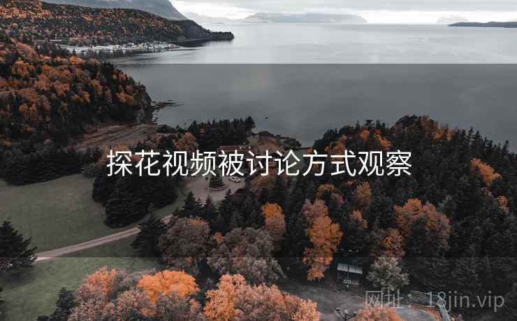 探花视频被讨论方式观察